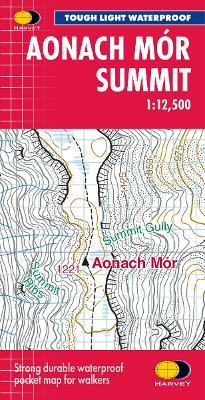 Aonach Mor Summit - cover