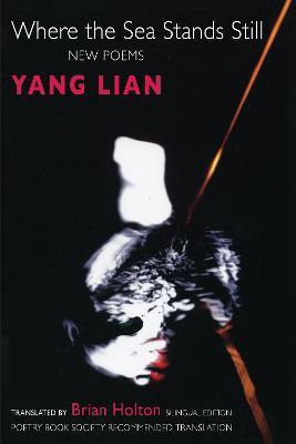 Where the Sea Stands Still - Yang Lian - cover