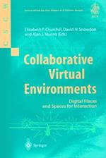 Collaborative Virtual Environments: Digital Places and Spaces for Interaction