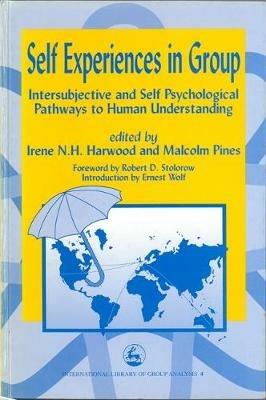 Self Experiences in Group: Intersubjective and Self Psychological Pathways to Human Understanding - cover