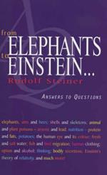 From Elephants to Einstein: Answers to Questions