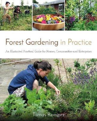 Forest Gardening in Practice: An Illustrated Practical Guide for Homes, Communities and Enterprises - Tomas Remiarz - cover