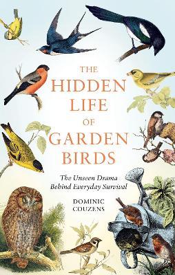 The Hidden Life of Garden Birds: The unseen drama behind everyday survival - Dominic Couzens - cover