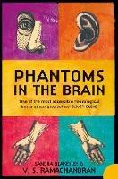 Phantoms in the Brain: Human Nature and the Architecture of the Mind