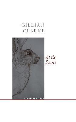 At the Source: A Writer's Year - Gillian Clarke - cover