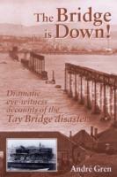 The Bridge is Down!: Dramatic Eye-witness Accounts of the Tay Bridge Disaster