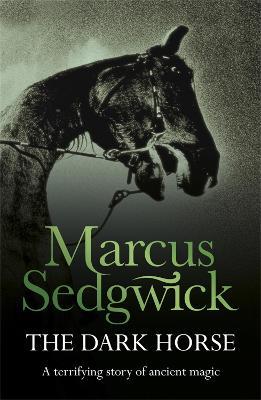 The Dark Horse - Marcus Sedgwick - cover