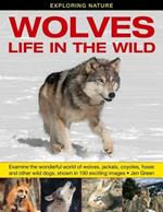 Exploring Nature: Wolves - Life in the Wild: Examine the Wonderful World of Wolves, Jackals, Coyotes, Foxes and Other Wild Dogs, Shown in 190 Exciting Images