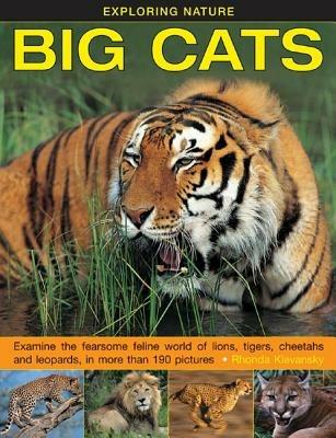 Exploring Nature: Big Cats - Rhonda Klevansky - cover