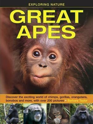 Exploring Nature: Great Apes - Taylor Barbara - cover
