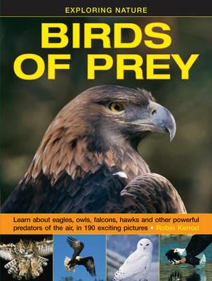 Exploring Nature: Birds of Prey - Kerrod Robin - cover