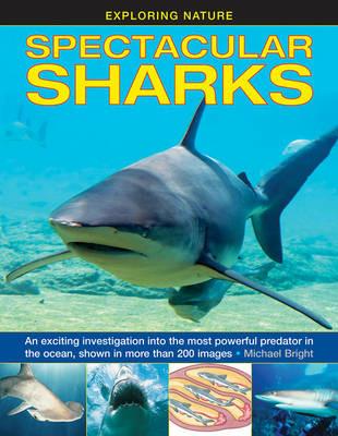 Exploring Nature: Spectacular Sharks - Bright Michael - cover