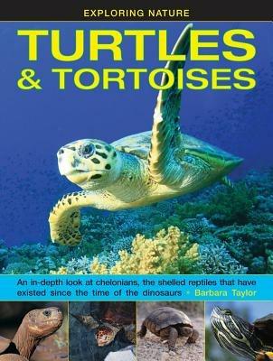 Exploring Nature: Turtles & Tortoises - Taylor Barbara - cover