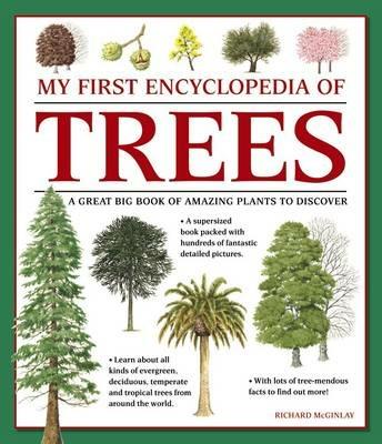 My First Encyclopedia of Trees (giant Size) - Mcginlay Richard - cover