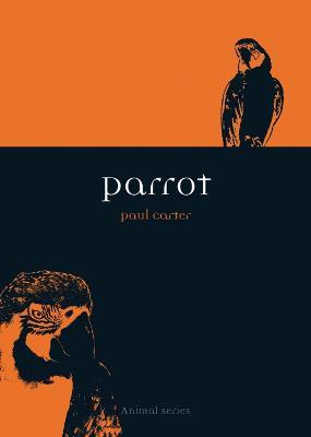 Parrot - Paul Carter - cover