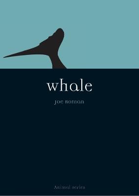 Whale - Joe Roman - cover