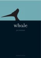Whale - Joe Roman - cover