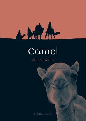 Camel - Robert Irwin - cover