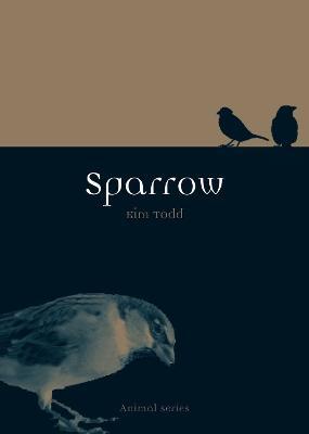 Sparrow - Kim Todd - cover