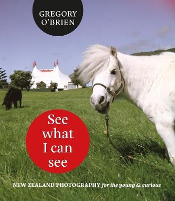 See What I can See - O'Brien Gregory - cover