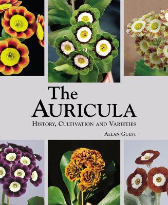 Auricula: History, Cultivation and Varieties - Allan Guest - cover