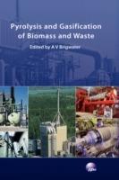 Pyrolysis and Gasification of Biomass and Waste - cover