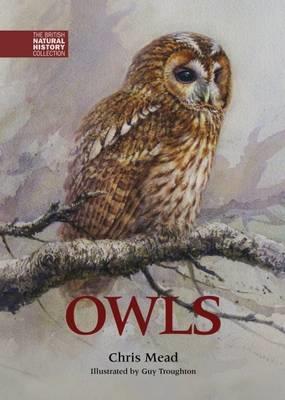 Owls - Chris Mead - cover