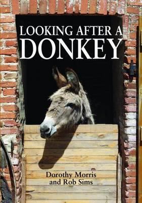 Looking After a Donkey - Dorothy Morris,Rob Sims - cover