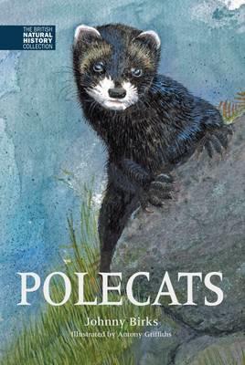 Polecats - Johnny Birks - cover