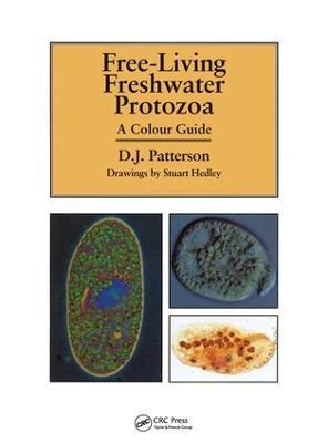 Freeliving Freshwater Protozoa - David J. Patterson,Stuart Hedley - cover