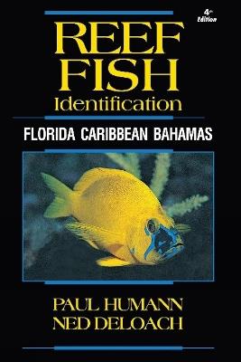 Reef Fish Identification: Florida Caribbean Bahamas - Paul Humann,Ned Deloach - cover