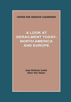 A Look at Derailment Today: North America and Europe - Jean Brittain Leslie,Ellen Van Velsor - cover