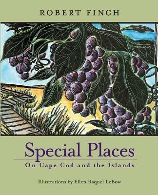 Special Places on Cape Cod and the Islands - Robert Finch - cover