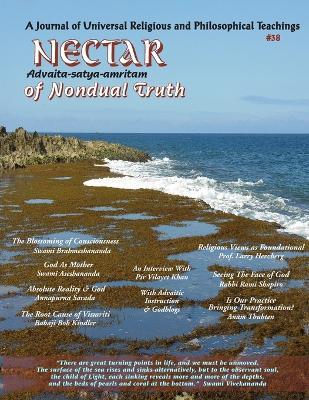 Nectar of Nondual Truth #38: A Journal of Universal Religious & Philosophical Teachings - Alexander Hixon,Rabbi Rami Shapiro,Babaji Bob Kindler - cover