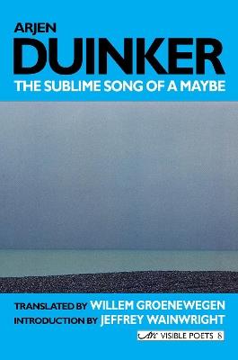 Sublime Song of a Maybe - Arjen Duinker - cover