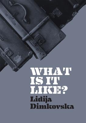 What Is It Like? - Lidija Dimkovska - cover