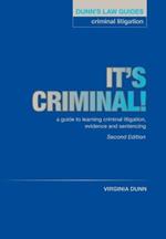 Dunn's Law Guides: Criminal Litigation 2nd Edition: It's Criminal!