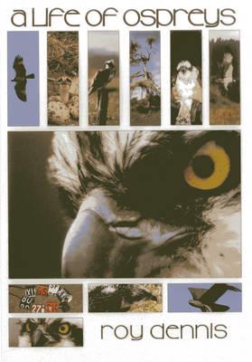 A Life of Ospreys - Roy Dennis - cover