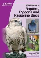 BSAVA Manual of Raptors, Pigeons and Passerine Birds - cover