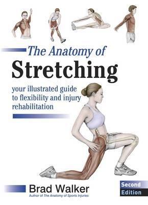 The Anatomy of Stretching: Your Illustrated Guide to Flexibility and Injury Rehabilitation - Brad Walker - cover