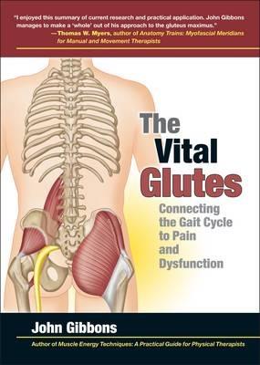 The Vital Glutes: Connecting the Gait Cycle to Pain and Dysfunction - John Gibbons - cover