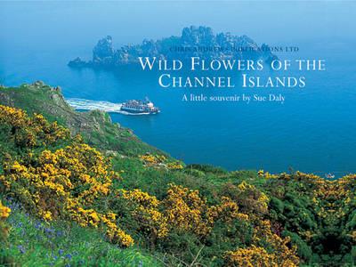 Wild Flowers of the Channel Islands Little Souvenir - Chris Andrews,Sue Daly - cover
