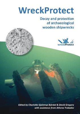 WreckProtect: Decay and protection of archaeological wooden shipwrecks - cover