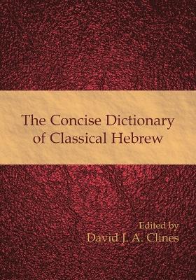 The Concise Dictionary of Classical Hebrew - cover