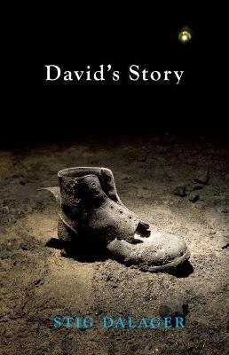 David's Story - Stig Dalager - cover