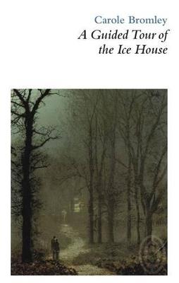 A Guided Tour of the Ice House - cover
