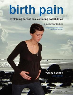 Birth Pain: Explaining Sensations, Exploring Possibilities - Verena Schmid - cover