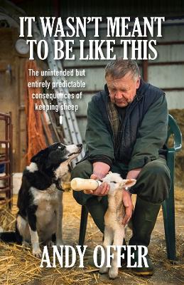 It Wasn't Meant To Be Like This: The unintended but entirely predictable consequences of keeping sheep - Andy Offer - cover