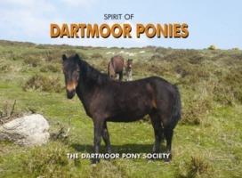 Spirit of Dartmoor Ponies - Dartmoor Pony Society - cover