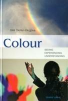 Colour: Seeing, Experiencing, Understanding